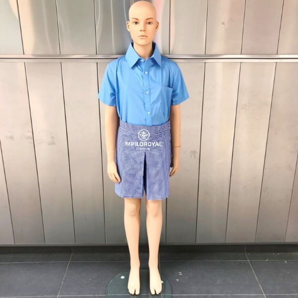 Picture of School Uniform Skirt and Shirt